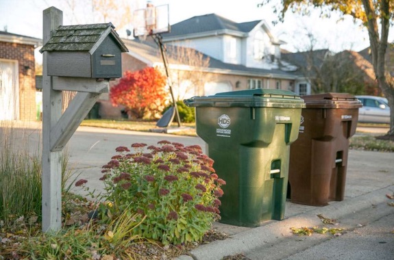 Bins waiting at the curb in a residential neighborhood